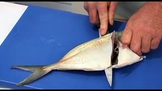 How to Fillet and Cook Trevally  The Hook and The Cook [upl. by Buckingham]