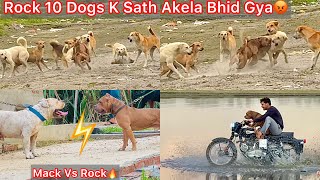 Rock Ko Mack Se Milvane Le Gye🔥Rock 10 Dogs K Sath Akela Bhid Gya😰Panga Hogya Yamuna Nadhi Par🐶 [upl. by Airtemed]