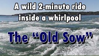 The quotOld Sowquot  Largest Whirlpool in the Americas [upl. by Notsehc]