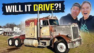 Will it DRIVE Our 1984 359 Peterbilt REVIVAL [upl. by Cathlene]