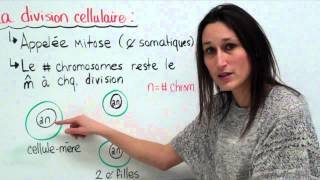 18 Sciences 9e Le cycle cellulaire [upl. by Esyak]