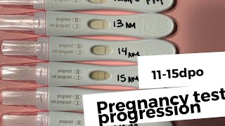 Finding Out Im pregnant  Test Progression 1115DPO  Becca Halm [upl. by Yarw797]