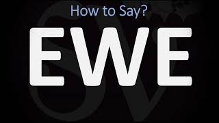 How to Pronounce Ewe CORRECTLY [upl. by Llewsor724]