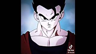 Gohan Definitivo [upl. by Naliorf]