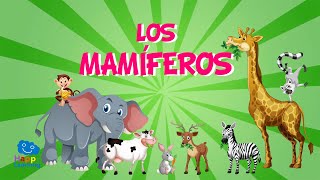 Los Mamíferos  Videos Educativos para Niños [upl. by Ingham590]