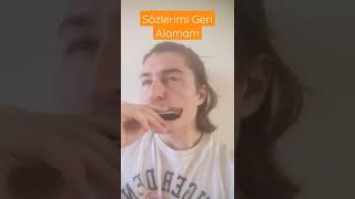 Sözlerimi Geri Alamam MızıkaHarmonica [upl. by Miche]