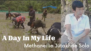 A Day in My Life  Paddy Field Vlog  Methaneilie Jütakhrie Solo [upl. by Ahsi]