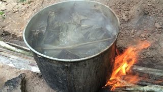 How To Make Ayahuasca Tea  Ayahuasca Recipe Warning Must Watch [upl. by Conlan998]