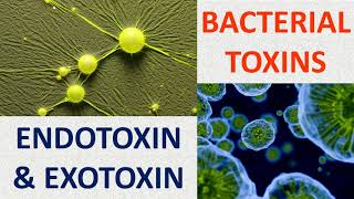 Bacterial toxins Endotoxin amp Exotoxin [upl. by Casteel]