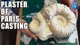 Casting With Plaster Of Paris [upl. by Scammon]