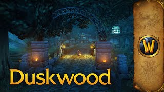 Duskwood  Music amp Ambience  World of Warcraft [upl. by Nuawaj]