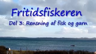 Rensning af fisk og garn [upl. by Candy]