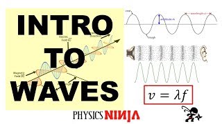 Introduction to Waves [upl. by Thordia]