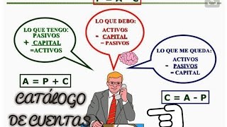 CATÁLOGO DE CUENTAS DE ACTIVOS PASIVOS Y CAPITAL CONTABILIDAD [upl. by Zavala822]