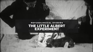 The Little Albert Experiment [upl. by Tremann]