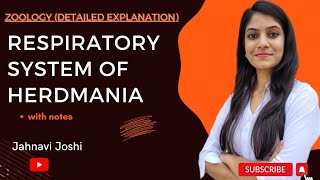 Respiratory System of Herdmania Notes Bsc 2nd year Zoology [upl. by Eenitsed214]