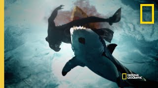 A String of Shark Attacks in San Diego  When Sharks Attack [upl. by Bethezel]