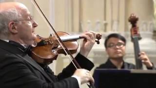 Antonio Vivaldi – Violin Concerto in gminor RV 317 [upl. by Amikan]