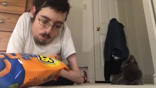 YOU WANT CHEESIES 🧀  Ricky Berwick [upl. by Demmahom]