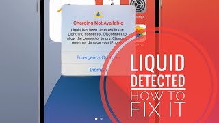 How to Fix Liquid Detected In iPhone Connector Bug Charging Not Available [upl. by Assi606]