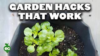 5 Gardening Tips That Actually Work [upl. by Hujsak]