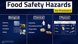 HACCP Food Safety Hazards [upl. by Bekah784]