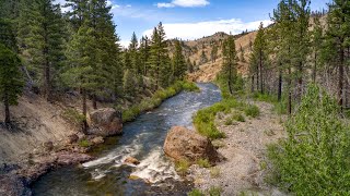 Millberry Creek Markleeville California  4K [upl. by Woolcott]