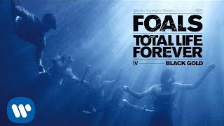 Foals  Black Gold Official Audio [upl. by Barstow]