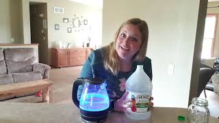 How to Clean an Electric Water Kettle [upl. by Lord]