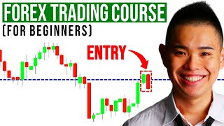 The ULTIMATE Forex Trading Course for Beginners [upl. by Ranite]