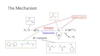 Atom transfer radical polymerization ATRP [upl. by Anhcar]