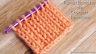 Punto Tunecino Brioche de Crochet Tunecino  Aprende Crochet Tunecino Paso a Paso [upl. by Elleynod424]