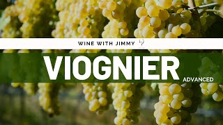 Grape Varieties  Viognier Advanced Version for WSET Level 3 and Level 4 WSET Diploma [upl. by Leandra]