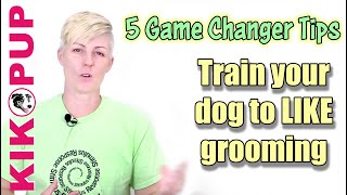 5 TIPS for training your dog to like GROOMING and NAIL TRIMMING [upl. by Haela]