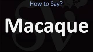 How to Pronounce Macaque CORRECTLY [upl. by Swan355]