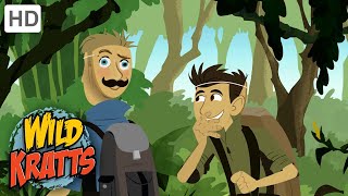 WILD KRATTS  Hiding From A TIGER  Nature [upl. by Nwahsauq]