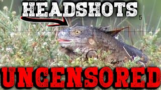 UNCENS0RED Headshots  Iguana Pest Control [upl. by Posner]