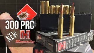 NEW 300 PRC  Hornady Review [upl. by Cicily]