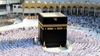 La Mecque la Kaaba et le hajj expliqués  ZAPPING NOMADE [upl. by Brindell563]