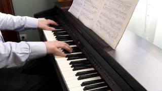 Beethoven  Moonlight Sonata 1st movement  Sonate au Clair de Lune  1er mouvement [upl. by Robinson889]