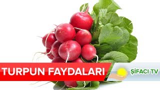 Turpun Faydaları Nelerdir [upl. by Dory2]