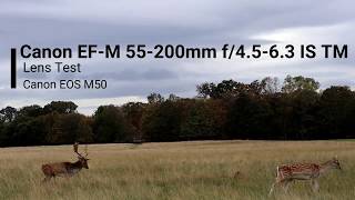 Canon EFM 55200mm Photo amp Video Test [upl. by Ennovyhs835]