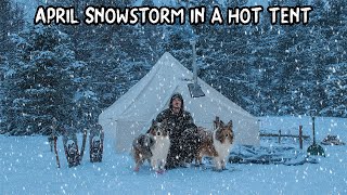 Spring Snowstorm Camp with My Dogs  2 Feet of Snow in April [upl. by Abagael699]