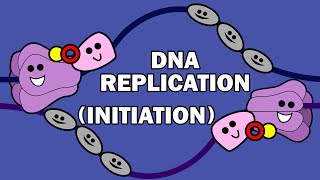 Dna Replication Part 2 [upl. by Elleda587]