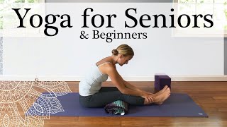 YOGA FOR SENIORS amp BEGINNERS  Slow paced amp gentle [upl. by Anaili]