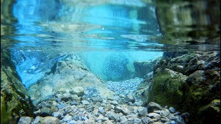 Underwater Sounds 10 Minutes  🎧 Underwater Ambience Sound Effect [upl. by Lebiralc]