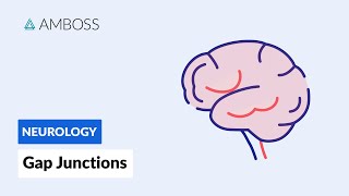 Gap Junctions Intercellular Communication [upl. by Yeslaehc]