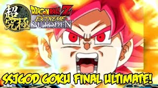 Dragon Ball Z Extreme Butoden 3DS Super Saiyan God Gokus Final Ultimate Combo USE THAT SSJG RAGE [upl. by Ybreh]