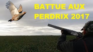 Chasse en battue  perdrix et faisans [upl. by Amhser]