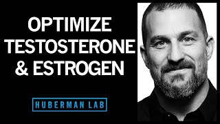 The Science of How to Optimize Testosterone amp Estrogen [upl. by Rebma]